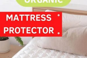 Top Rated Best Natural Mattress Protector: Safe Sleep | Organic & Natural Mattress Buyer’s Guide: Non-Toxic Sleep Solutions