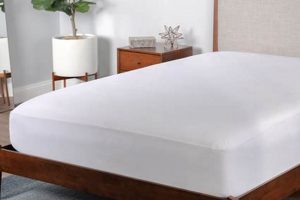 Best bedgear Mattress Protectors: Ultimate Protection Organic & Natural Mattress Buyer’s Guide: Non-Toxic Sleep Solutions Best bedgear Mattress Protectors: Ultimate Protection | Organic & Natural Mattress Buyer’s Guide: Non-Toxic Sleep Solutions
