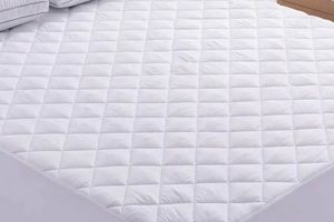 Best King Size Mattress Protector: Sleep Soundly | Organic & Natural Mattress Buyer’s Guide: Non-Toxic Sleep Solutions