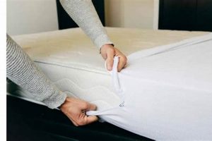 Mattress Protectors: Can They Be Washed? Cleaning Guide | Organic & Natural Mattress Buyer’s Guide: Non-Toxic Sleep Solutions