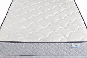 Best Low Profile Full Mattress: Space-Saving Comfort Safem Fabrication - Precision Engineering & Custom Manufacturing Solutions Best Low Profile Full Mattress: Space-Saving Comfort | Safem Fabrication - Precision Engineering & Custom Manufacturing Solutions