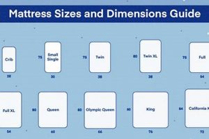 Full Bed Guide: How Big *is* a Full Size Mattress, Really? Organic & Natural Mattress Buyer’s Guide: Non-Toxic Sleep Solutions Full Bed Guide: How Big *is* a Full Size Mattress, Really? | Organic & Natural Mattress Buyer’s Guide: Non-Toxic Sleep Solutions