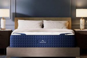 DreamCloud Full Mattress: Ultimate Comfort Guide [Year] | Organic & Natural Mattress Buyer’s Guide: Non-Toxic Sleep Solutions