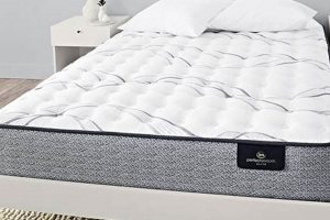 Best Extra Firm Full Mattress for Back Support in 2024 Organic & Natural Mattress Buyer’s Guide: Non-Toxic Sleep Solutions Best Extra Firm Full Mattress for Back Support in 2024 | Organic & Natural Mattress Buyer’s Guide: Non-Toxic Sleep Solutions