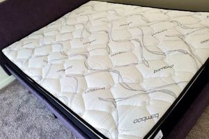 The Ultimate Bamboo Full Size Mattress Guide Organic & Natural Mattress Buyer’s Guide: Non-Toxic Sleep Solutions The Ultimate Bamboo Full Size Mattress Guide | Organic & Natural Mattress Buyer’s Guide: Non-Toxic Sleep Solutions