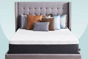 Top-Rated Best Full Size Mattress: Sleep Soundly! Organic & Natural Mattress Buyer’s Guide: Non-Toxic Sleep Solutions Top-Rated Best Full Size Mattress: Sleep Soundly! | Organic & Natural Mattress Buyer’s Guide: Non-Toxic Sleep Solutions