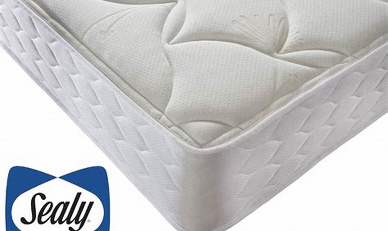 Eco Comfort: Best No Foam Mattress Guide Today Organic & Natural Mattress Buyer’s Guide: Non-Toxic Sleep Solutions Eco Comfort: Best No Foam Mattress Guide Today | Organic & Natural Mattress Buyer’s Guide: Non-Toxic Sleep Solutions