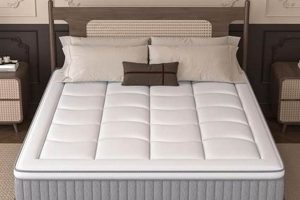 Full Long Mattress: Extra Legroom Comfort, Better Sleep Organic & Natural Mattress Buyer’s Guide: Non-Toxic Sleep Solutions Full Long Mattress: Extra Legroom Comfort, Better Sleep | Organic & Natural Mattress Buyer’s Guide: Non-Toxic Sleep Solutions