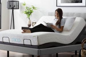 Best Adjustable Full Mattress: Comfort & Support Organic & Natural Mattress Buyer’s Guide: Non-Toxic Sleep Solutions Best Adjustable Full Mattress: Comfort & Support | Organic & Natural Mattress Buyer’s Guide: Non-Toxic Sleep Solutions