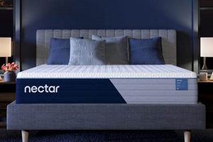 Best Nectar Mattress Full Size: Reviews + Guide Organic & Natural Mattress Buyer’s Guide: Non-Toxic Sleep Solutions Best Nectar Mattress Full Size: Reviews + Guide | Organic & Natural Mattress Buyer’s Guide: Non-Toxic Sleep Solutions