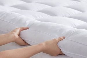 Best Full Size Bed Mattress Topper: Sleep Better Now! Organic & Natural Mattress Buyer’s Guide: Non-Toxic Sleep Solutions Best Full Size Bed Mattress Topper: Sleep Better Now! | Organic & Natural Mattress Buyer’s Guide: Non-Toxic Sleep Solutions