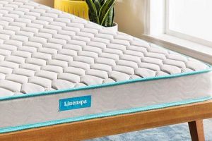 Best Thin Full Size Mattress? Find Your Slim Full Size Here! Organic & Natural Mattress Buyer’s Guide: Non-Toxic Sleep Solutions Best Thin Full Size Mattress? Find Your Slim Full Size Here! | Organic & Natural Mattress Buyer’s Guide: Non-Toxic Sleep Solutions