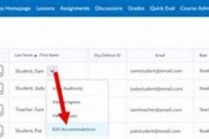 Best Value: 6 Full Size Mattress Set Guide & Deals Organic & Natural Mattress Buyer’s Guide: Non-Toxic Sleep Solutions Best Value: 6 Full Size Mattress Set Guide & Deals | Organic & Natural Mattress Buyer’s Guide: Non-Toxic Sleep Solutions