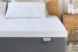 Best Gel Foam Mattress Queen: Your Comfort Choice Organic & Natural Mattress Buyer’s Guide: Non-Toxic Sleep Solutions Best Gel Foam Mattress Queen: Your Comfort Choice | Organic & Natural Mattress Buyer’s Guide: Non-Toxic Sleep Solutions