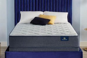 Best Plush Full Size Mattress [Guide] For Comfort Sleep | Organic & Natural Mattress Buyer’s Guide: Non-Toxic Sleep Solutions