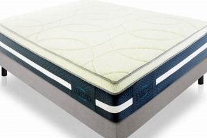 Lucid Full Size Mattress: Best Deals & Sleep Well | Organic & Natural Mattress Buyer’s Guide: Non-Toxic Sleep Solutions