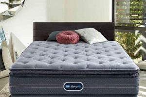 Simmons Beautyrest Full Mattress: Best Choice & Guide Organic & Natural Mattress Buyer’s Guide: Non-Toxic Sleep Solutions Simmons Beautyrest Full Mattress: Best Choice & Guide | Organic & Natural Mattress Buyer’s Guide: Non-Toxic Sleep Solutions