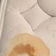Easy How to Clean Vomit Out of a Mattress: Tips & Tricks | Organic & Natural Mattress Buyer’s Guide: Non-Toxic Sleep Solutions