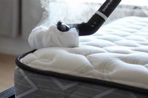 Easy Steam Clean Mattress: Refresh & Sanitize Now! Safem Fabrication - Precision Engineering & Custom Manufacturing Solutions Easy Steam Clean Mattress: Refresh & Sanitize Now! | Safem Fabrication - Precision Engineering & Custom Manufacturing Solutions