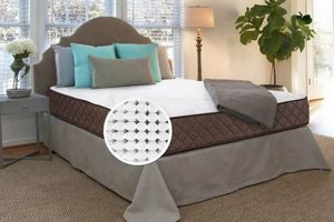 Find Your Best Full Mattress: Comfort & Value | Organic & Natural Mattress Buyer’s Guide: Non-Toxic Sleep Solutions
