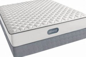 Beautyrest Full Mattress: Ultimate Comfort & Size Guide | Organic & Natural Mattress Buyer’s Guide: Non-Toxic Sleep Solutions