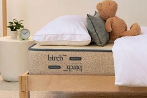 Top Picks: Best Full Mattress for Kids Comfort | Organic & Natural Mattress Buyer’s Guide: Non-Toxic Sleep Solutions