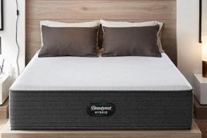 Full Size Sleep: Beautyrest Select 13 Coil Comfort & Rest Organic & Natural Mattress Buyer’s Guide: Non-Toxic Sleep Solutions Full Size Sleep: Beautyrest Select 13 Coil Comfort & Rest | Organic & Natural Mattress Buyer’s Guide: Non-Toxic Sleep Solutions