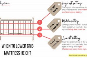 Crib Safety: When to Lower Crib Mattress For Baby Growth Safem Fabrication - Precision Engineering & Custom Manufacturing Solutions Crib Safety: When to Lower Crib Mattress For Baby Growth | Safem Fabrication - Precision Engineering & Custom Manufacturing Solutions