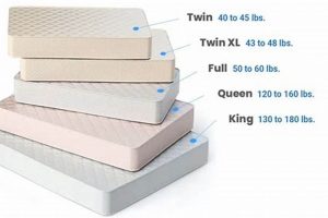 Full Mattress Weight: How Much Does a Full Size Mattress Weigh? Organic & Natural Mattress Buyer’s Guide: Non-Toxic Sleep Solutions Full Mattress Weight: How Much Does a Full Size Mattress Weigh? | Organic & Natural Mattress Buyer’s Guide: Non-Toxic Sleep Solutions
