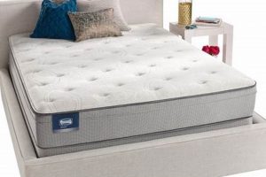 Best Simmons Full Mattress [Guide & Reviews] | Organic & Natural Mattress Buyer’s Guide: Non-Toxic Sleep Solutions