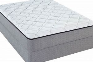 The Ultimate Comfort Tech 10 Serene Foam Mattress Guide | Organic & Natural Mattress Buyer’s Guide: Non-Toxic Sleep Solutions