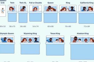 Mattress Size Guide: The Difference Between Mattress Sizes Today Safem Fabrication - Precision Engineering & Custom Manufacturing Solutions Mattress Size Guide: The Difference Between Mattress Sizes Today | Safem Fabrication - Precision Engineering & Custom Manufacturing Solutions