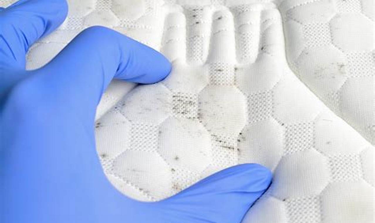Stop Mold: In Foam Mattress Risks & Solutions Now! Organic & Natural Mattress Buyer’s Guide: Non-Toxic Sleep Solutions Stop Mold: In Foam Mattress Risks & Solutions Now! | Organic & Natural Mattress Buyer’s Guide: Non-Toxic Sleep Solutions
