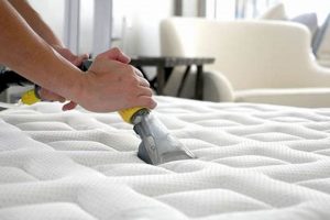 Deep Clean: Professionally Clean Mattress Pros & Tips Safem Fabrication - Precision Engineering & Custom Manufacturing Solutions Deep Clean: Professionally Clean Mattress Pros & Tips | Safem Fabrication - Precision Engineering & Custom Manufacturing Solutions