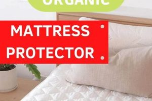 Top Rated Best Natural Mattress Protector: Safe Sleep Safem Fabrication - Precision Engineering & Custom Manufacturing Solutions Top Rated Best Natural Mattress Protector: Safe Sleep | Safem Fabrication - Precision Engineering & Custom Manufacturing Solutions