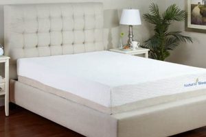 The Best Foam and Latex Mattress Guide: Comfort Awaits! | Organic & Natural Mattress Buyer’s Guide: Non-Toxic Sleep Solutions