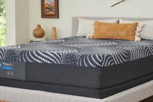 Top Sealy Mattress Bed Frame Picks: Comfort & Support | Organic & Natural Mattress Buyer’s Guide: Non-Toxic Sleep Solutions