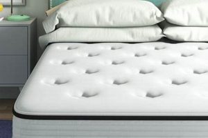 Wayfair's Box Bed: Mattress in a Box Deals & Reviews Organic & Natural Mattress Buyer’s Guide: Non-Toxic Sleep Solutions Wayfair's Box Bed: Mattress in a Box Deals & Reviews | Organic & Natural Mattress Buyer’s Guide: Non-Toxic Sleep Solutions
