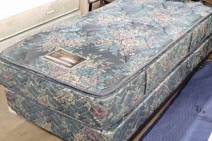 Best Twin Size Mattress and Box Spring [Deals + Guide] | Organic & Natural Mattress Buyer’s Guide: Non-Toxic Sleep Solutions