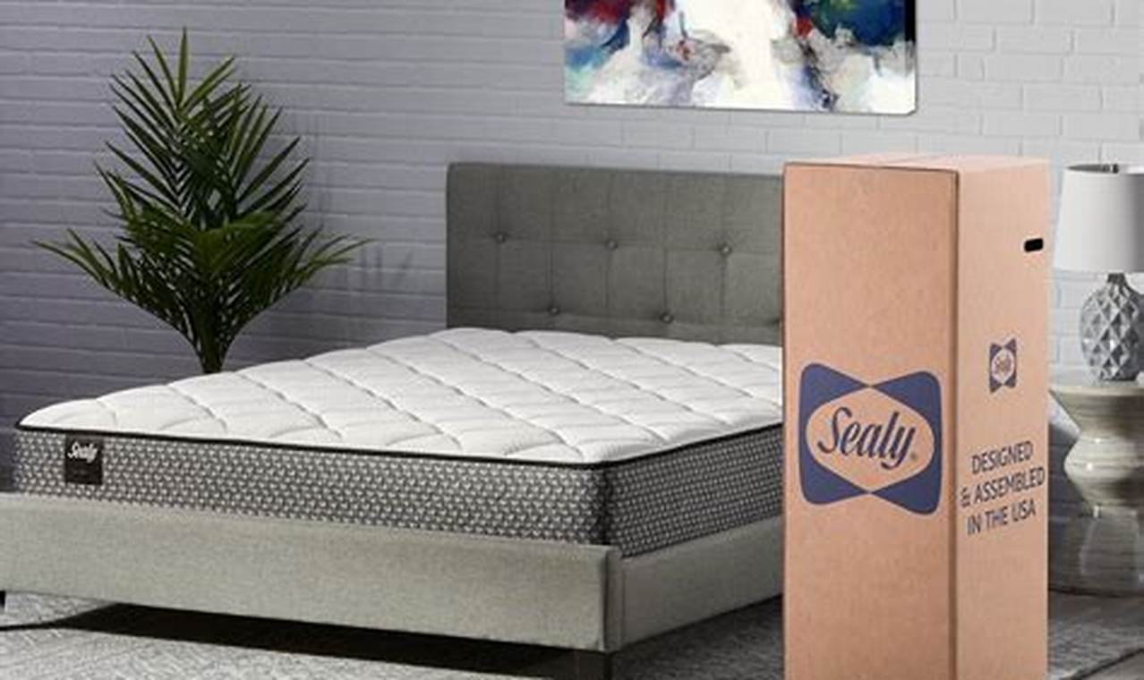 Big Lots Mattress Sale