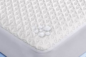 Do You Need It? Is a Mattress Protector Necessary? Guide Safem Fabrication - Precision Engineering & Custom Manufacturing Solutions Do You Need It? Is a Mattress Protector Necessary? Guide | Safem Fabrication - Precision Engineering & Custom Manufacturing Solutions