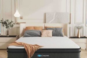 Protect Your Investment: Best Box for King Size Mattress Storage Organic & Natural Mattress Buyer’s Guide: Non-Toxic Sleep Solutions Protect Your Investment: Best Box for King Size Mattress Storage | Organic & Natural Mattress Buyer’s Guide: Non-Toxic Sleep Solutions