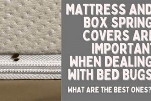 Shield Your Sleep: Mattress Box Spring Covers Bed Bugs Defense Organic & Natural Mattress Buyer’s Guide: Non-Toxic Sleep Solutions Shield Your Sleep: Mattress Box Spring Covers Bed Bugs Defense | Organic & Natural Mattress Buyer’s Guide: Non-Toxic Sleep Solutions