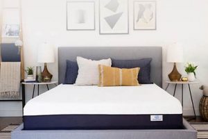 Best Twin Mattress In A Box Walmart: Deals & Reviews Organic & Natural Mattress Buyer’s Guide: Non-Toxic Sleep Solutions Best Twin Mattress In A Box Walmart: Deals & Reviews | Organic & Natural Mattress Buyer’s Guide: Non-Toxic Sleep Solutions