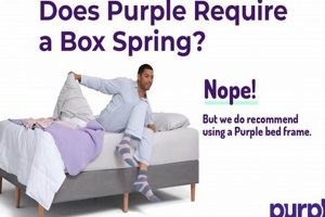 Foundation First: Does Purple Mattress Need Box Spring? [Guide] | Organic & Natural Mattress Buyer’s Guide: Non-Toxic Sleep Solutions