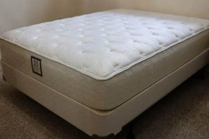 Sealy Mattress & Box Spring: Ultimate Sleep Comfort Organic & Natural Mattress Buyer’s Guide: Non-Toxic Sleep Solutions Sealy Mattress & Box Spring: Ultimate Sleep Comfort | Organic & Natural Mattress Buyer’s Guide: Non-Toxic Sleep Solutions