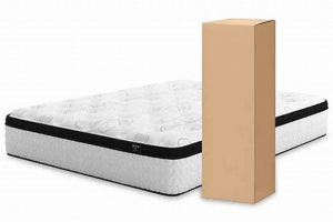 Best Twin Mattress in a Box: [Year] Guide & Reviews | Organic & Natural Mattress Buyer’s Guide: Non-Toxic Sleep Solutions