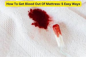 Quick Guide: How Do You Get Blood Out of a Mattress? - Tips! Organic & Natural Mattress Buyer’s Guide: Non-Toxic Sleep Solutions Quick Guide: How Do You Get Blood Out of a Mattress? - Tips! | Organic & Natural Mattress Buyer’s Guide: Non-Toxic Sleep Solutions