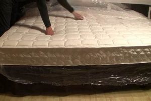 Buying a Mattress in a Box: What to Know [Guide] | Organic & Natural Mattress Buyer’s Guide: Non-Toxic Sleep Solutions