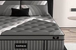 Ultimate Plush Mattress in a Box Guide: Sleep Better Today! Organic & Natural Mattress Buyer’s Guide: Non-Toxic Sleep Solutions Ultimate Plush Mattress in a Box Guide: Sleep Better Today! | Organic & Natural Mattress Buyer’s Guide: Non-Toxic Sleep Solutions